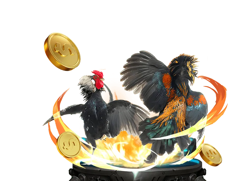 Quản lý vốn cá cược đá gà